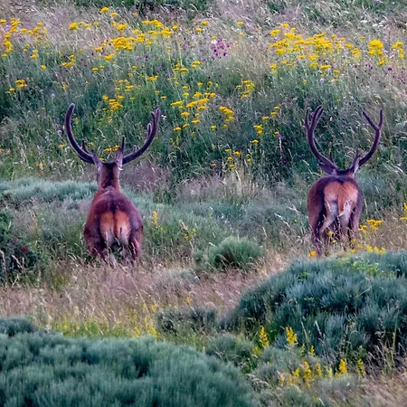 Maison - T4 70m2 - Vue Exceptionnelle 別荘