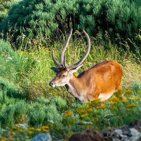 Maison - T4 70m2 - Vue Exceptionnelle *